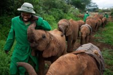 baby_elephants_01 (1).jpg baby_elephants_01 (1).jpg