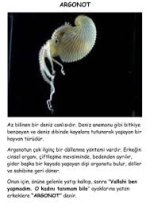 indir (35).jpeg indir (35).jpeg